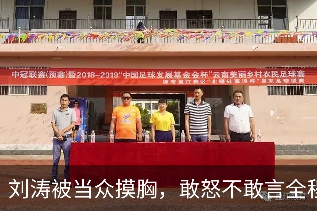 刘涛被当众摸胸，敢怒不敢言全程陪笑