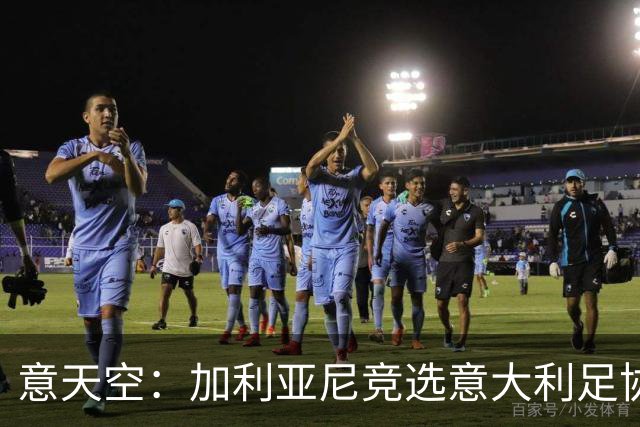 意天空：加利亚尼竞选意大利足协主席的可能性正在增加