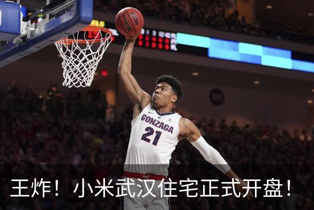 王炸！小米武汉住宅正式开盘！