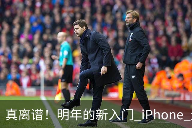 真离谱！明年的新入门 iPhone 还是 60Hz