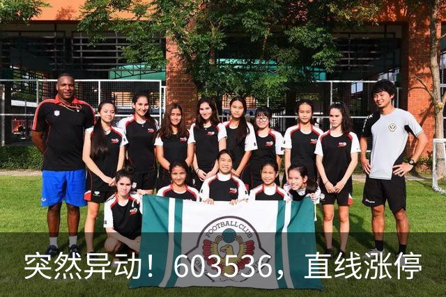 突然异动！603536，直线涨停
