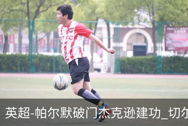 英超-帕尔默破门杰克逊建功 切尔西2-1纽卡斯尔