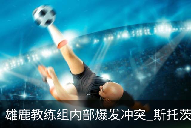 雄鹿教练组内部爆发冲突 斯托茨辞去助教职务